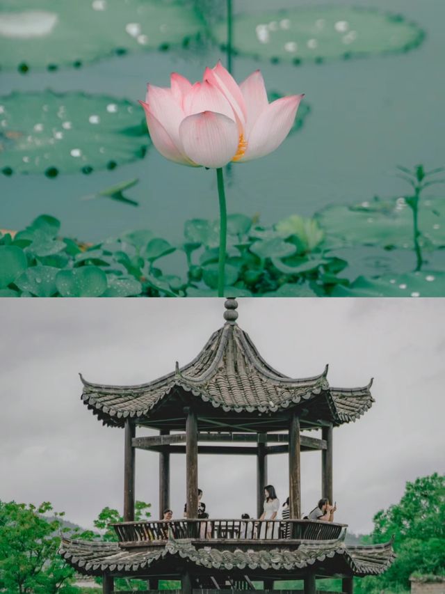 走進山裡