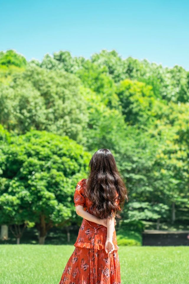 在武漢找到一座像千尋神公園