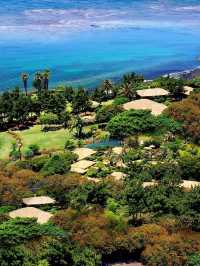 Jeju's Jewel: Seaes Hotel & Resort 🌊🌴
