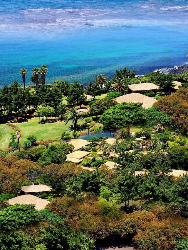 Jeju's Jewel: Seaes Hotel & Resort 🌊🌴