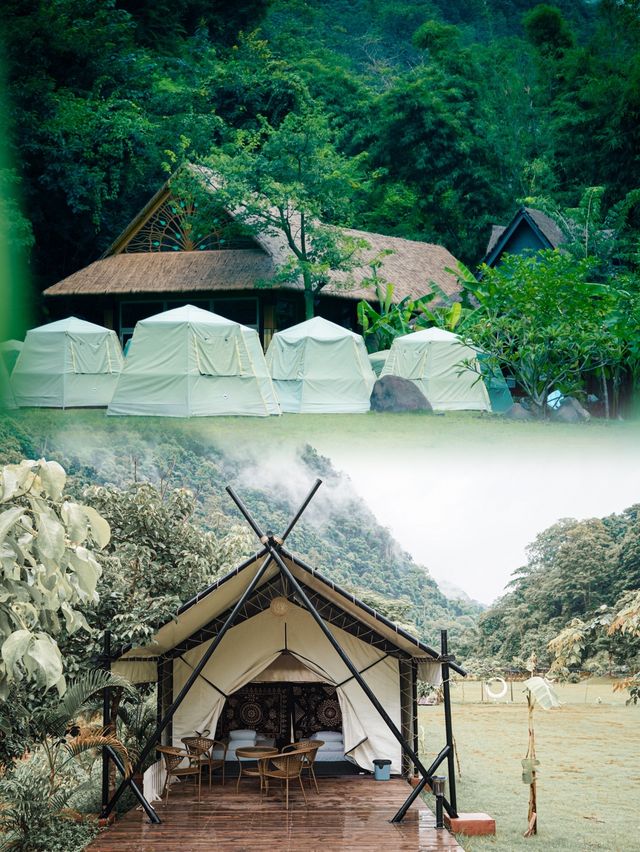 打卡陳偉霆同款雨林露營丨勐遠仙境營地。