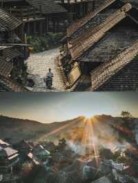 【景迈山】有五片栽培型古茶林