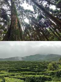 平天山景區路線
