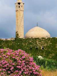 Ancient City of Tyre, Lebanon: A Brief Guide