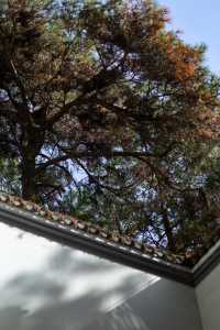 黃山 最國風的民宿我找到了