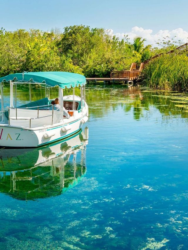 🌴✨ Riviera Maya's Luxe Escape: Andaz Mayakoba! 🏖️🌟