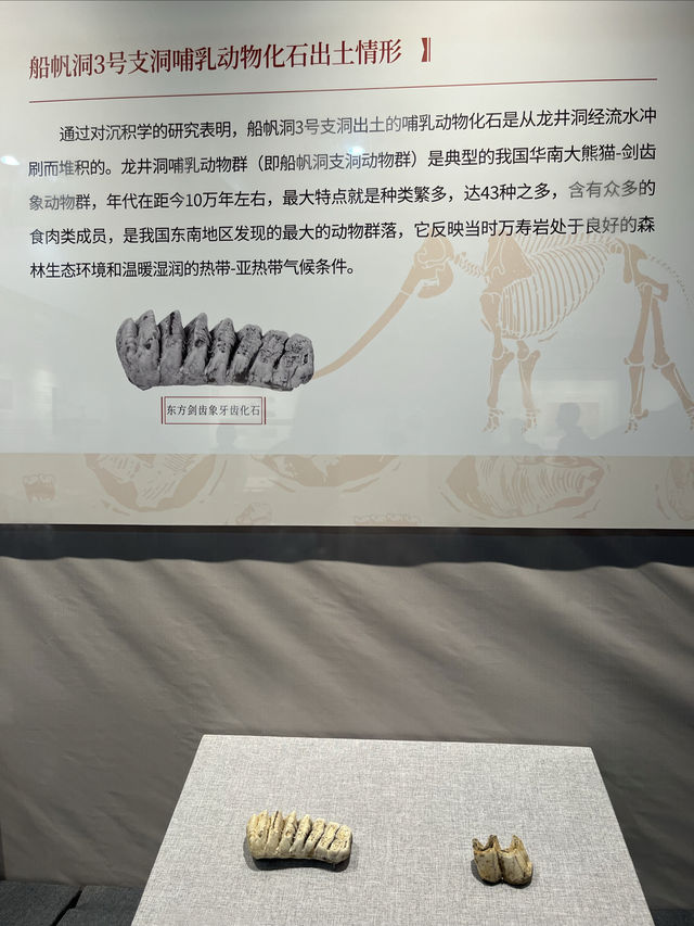 別去！臨展已結束！！！