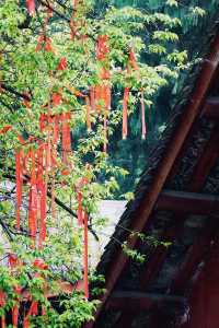 什麼？聽說這個地方…不會吧…