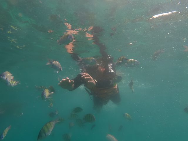 去麗貝島，小馬代名不虛傳