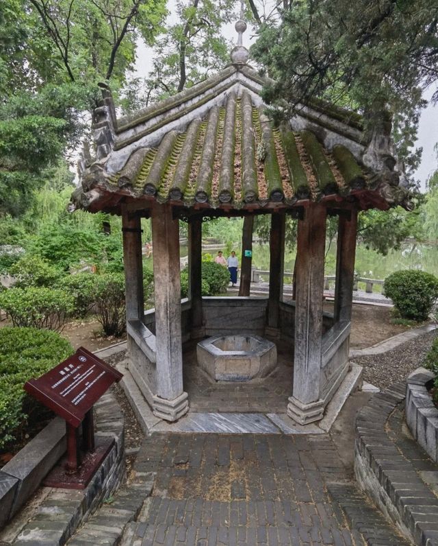 南陽臥龍崗必打卡！常態化演藝攻略，全是乾貨！