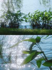 長沙夏日避暑治癒好去處