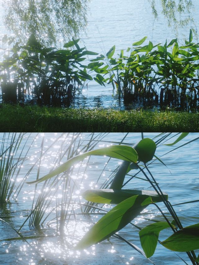 長沙夏日避暑治癒好去處