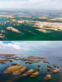 駱駝漫步烏素特（水上）雅丹，領略別樣風情