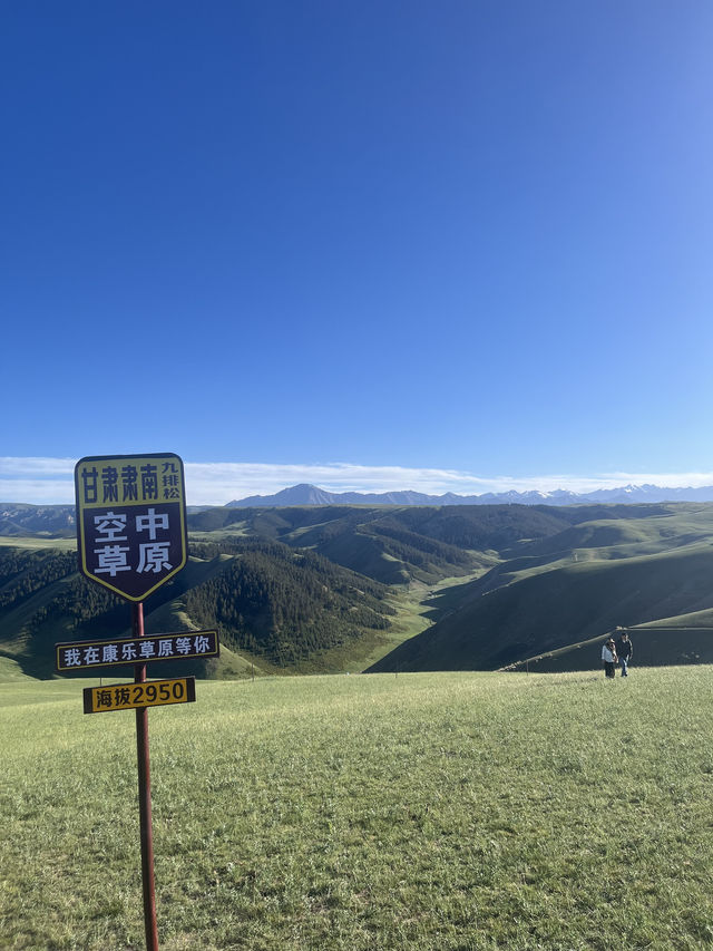 被張掖的草原狠狠治癒了！