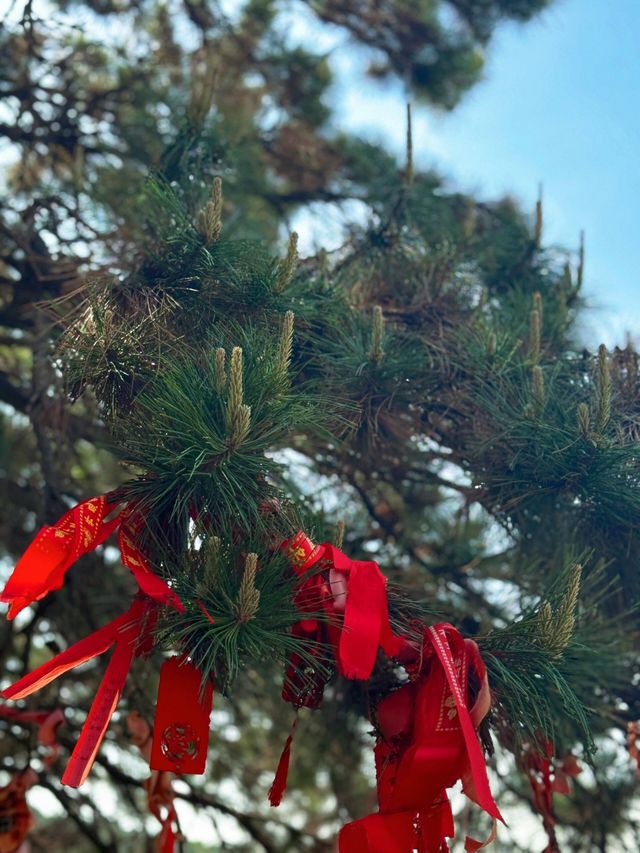 沈陽