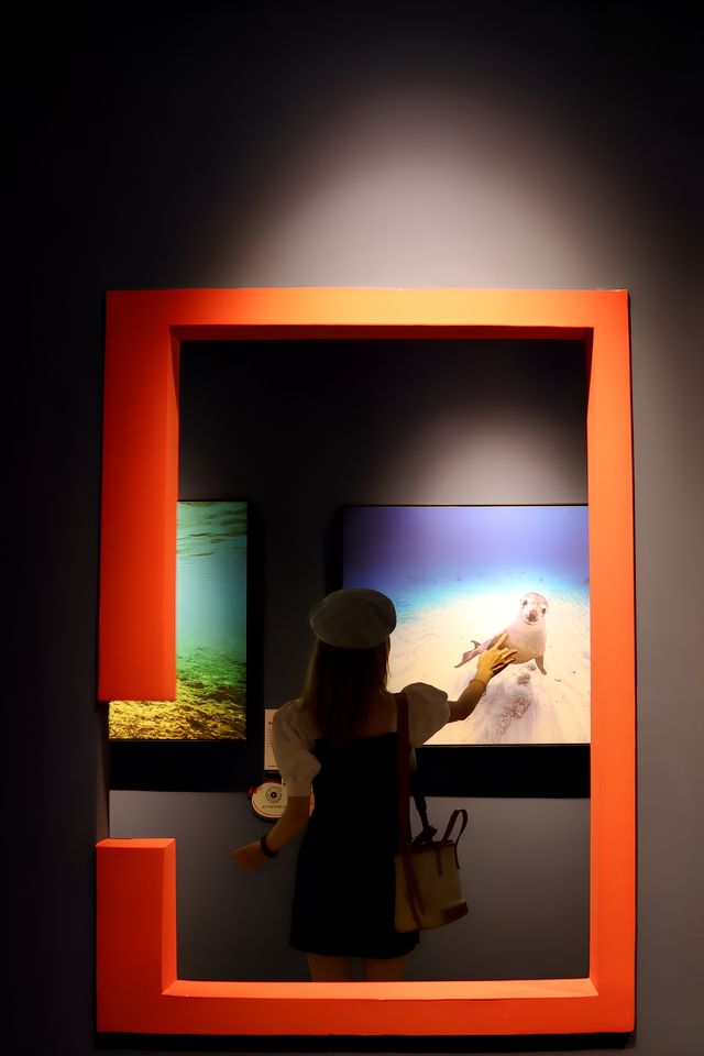 廣州看展，中國國家地理•探索 極致發現科學藝術影像展攻略