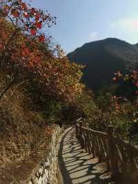 鄂西北的“九寨溝”--鄖西五龍河
