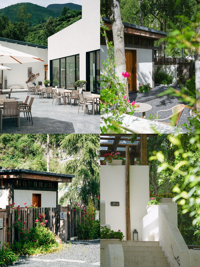 我很少用“山野顶奢”来形容一家森林温泉酒店
