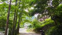 【東林生活】夏日行腳桃花源，瀑布飛瀉第一泉