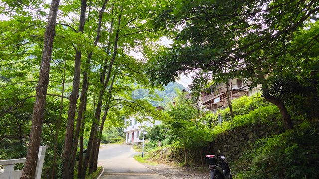 【東林生活】夏日行腳桃花源，瀑布飛瀉第一泉