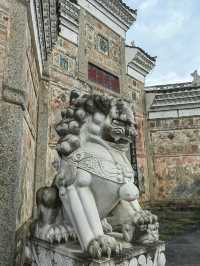 千年時姓古村宗祠，八百歲樟樹兄弟