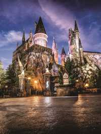 🌟 Orlando's Must-Visit Attractions: Magic, Thrills & Wonders 🎢🏰🐬