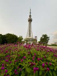 在佛山市區我找到了隱藏起來的花海公園
