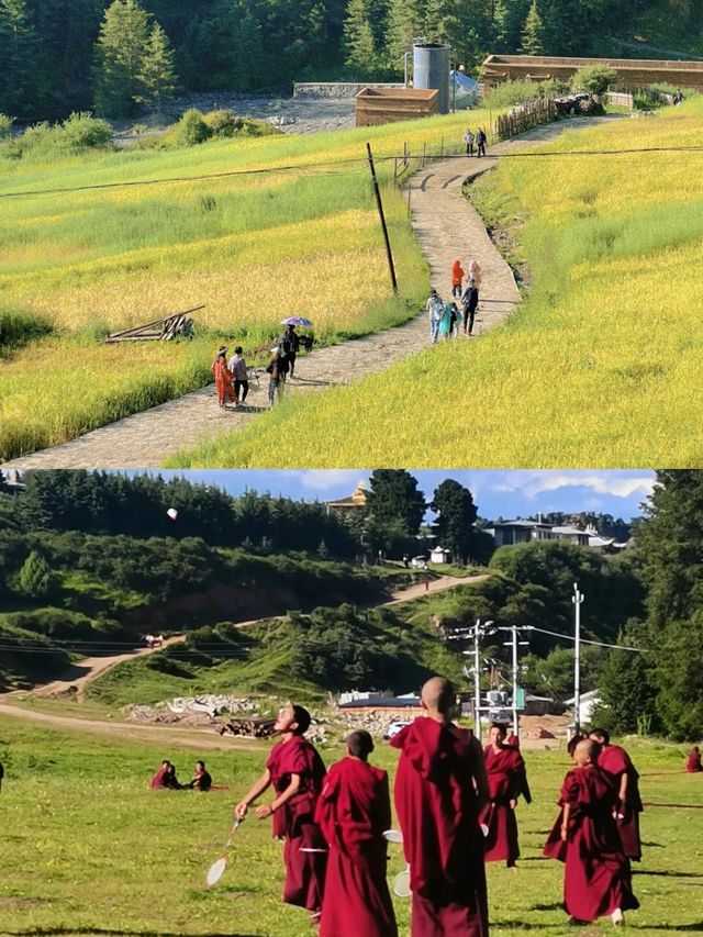 暑假反向旅行成功!推荐个被低估的冷门城市||| 暑假反向旅行成功!推荐个被低估的冷门城市|||
