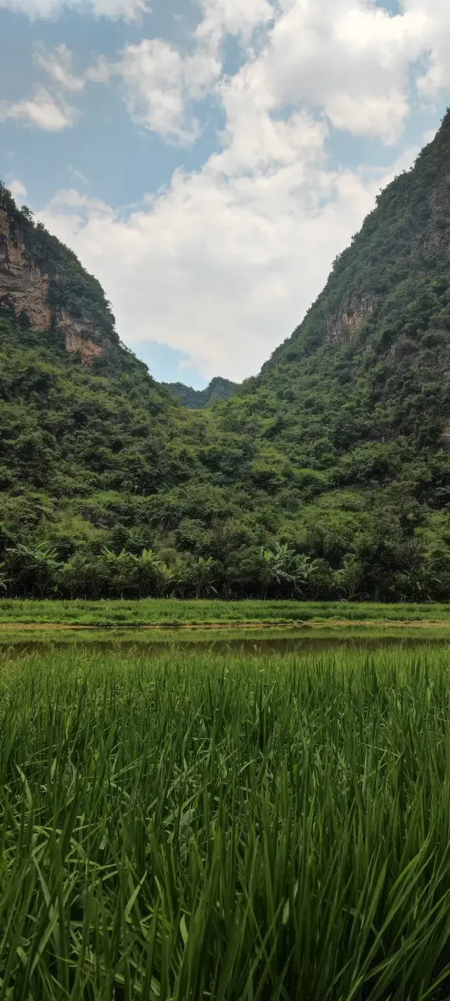 峰林布依景如畫