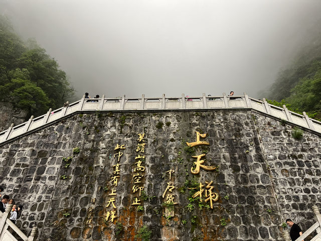 天門山旅遊怎麼能錯過這篇攻略呢