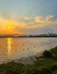 星辰之下的秘密花園……