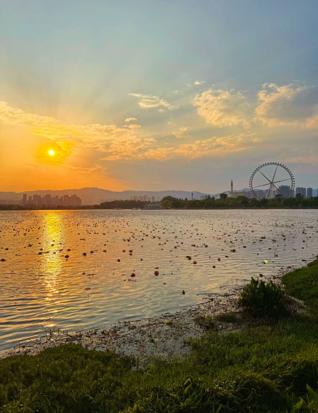 星辰之下的秘密花園……