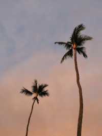 夏威夷的AliiDr擁有這世間所有的浪漫