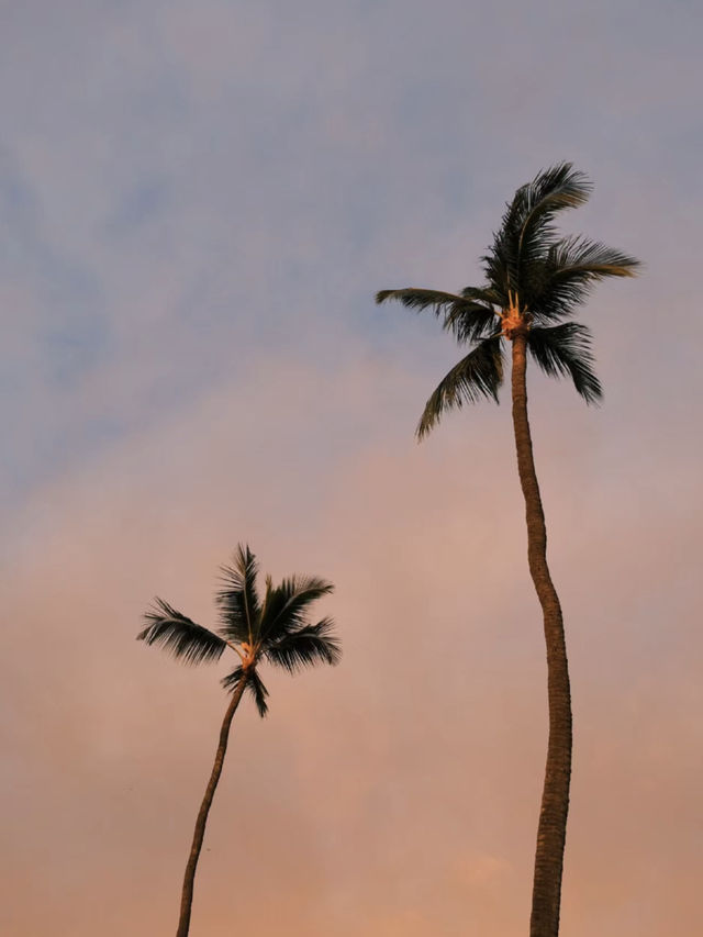 夏威夷的AliiDr擁有這世間所有的浪漫