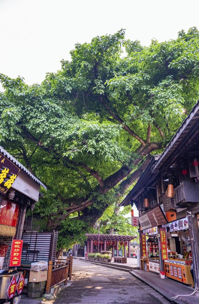 朋友圈被问瘋了，都以為去不夜城玩了