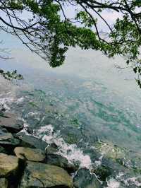 魅力獅城，夢幻聖淘沙｜邂逅新加坡的熱帶海島風情。