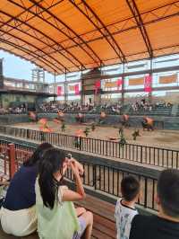 Amusement park in Chengdu so family friendly 