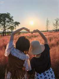 9月21日實拍西安誰還沒去這個公園看粉黛花海!。
