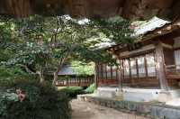 又松日常/尤庵史蹟園地探訪。