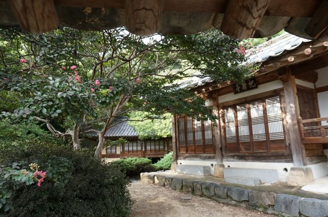 又松日常/尤庵史蹟園地探訪。