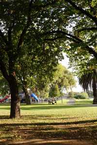 本迪戈公園一角。