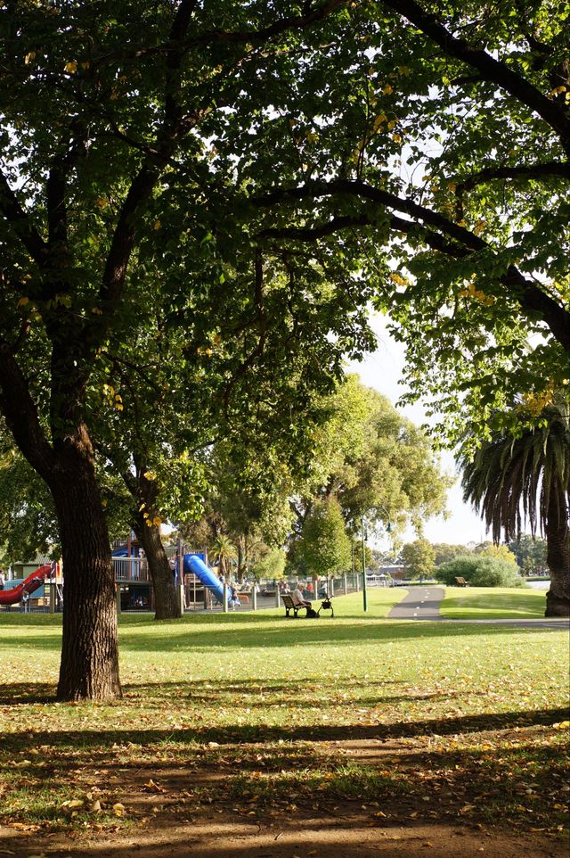 本迪戈公園一角。