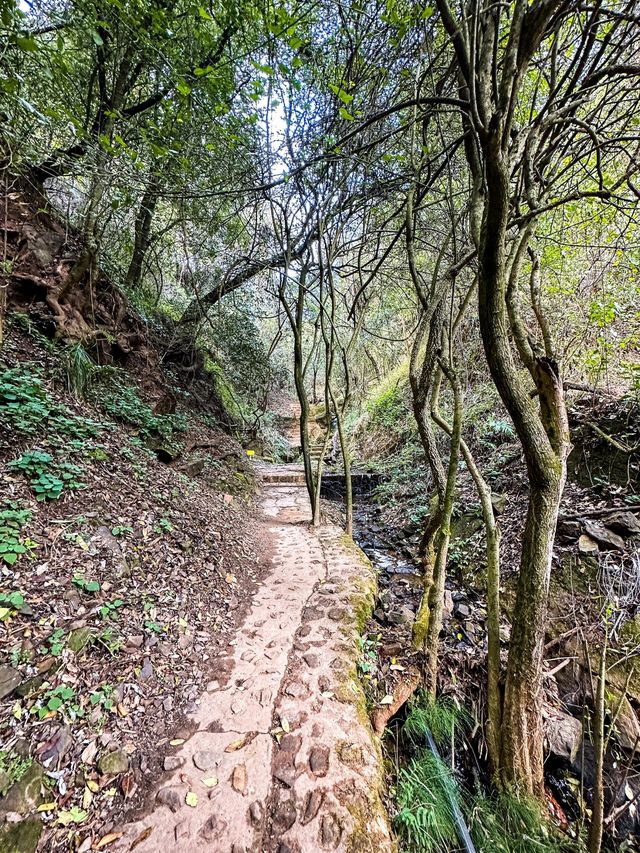 雲南昆明青龍峽丨體驗徒步旅行的快樂。