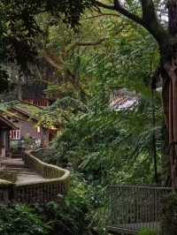 Top hidden places in Chongqing to visit. 🇨🇳