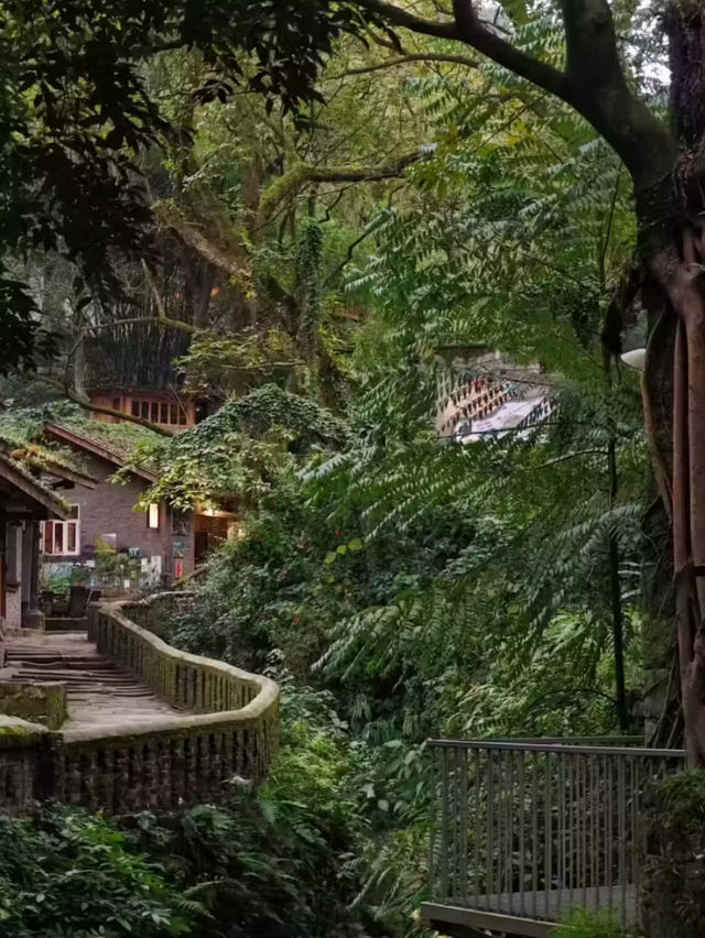 Top hidden places in Chongqing to visit. 🇨🇳