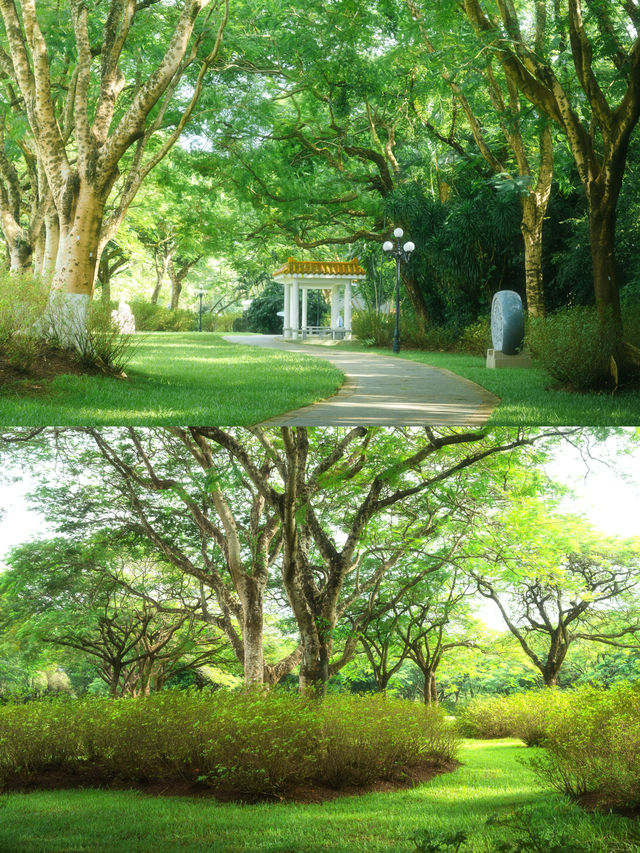 總有一次在公園相遇吧，我怕我會愛上這裡。