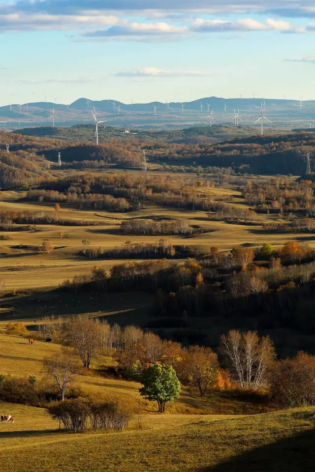 허베이성 장자커우-허베이 바상 허베이의 알타이.