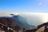 Table Mountain National Park 遊玩攻略。