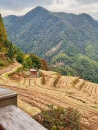 11月10日臨安指南村紅葉實況攻略。