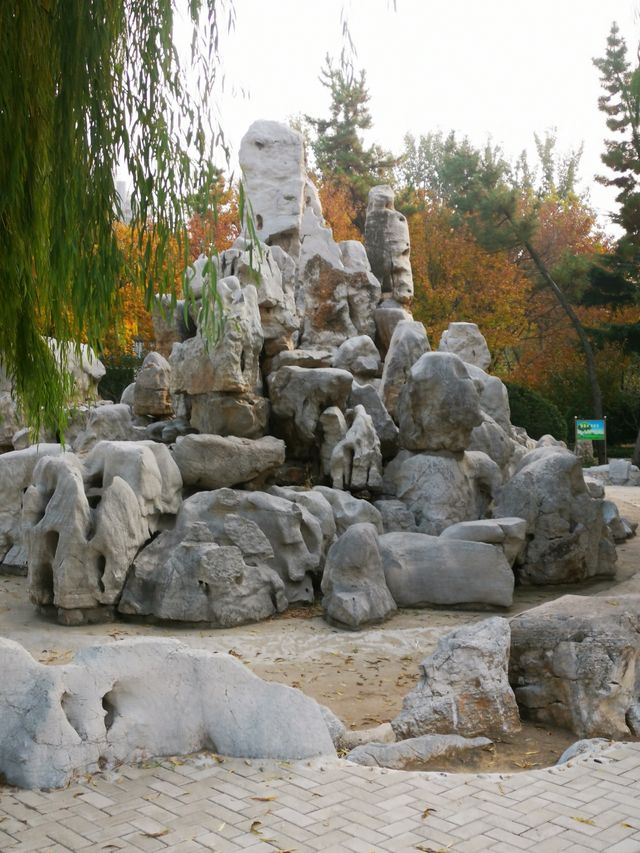 安丘市人民公園。